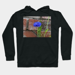 Cornflower and Brick Hoodie